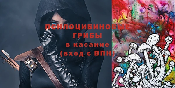 apvp Балахна