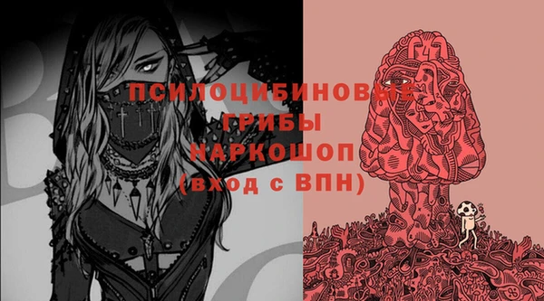 apvp Балахна