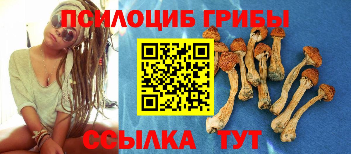 Галлюциногенные грибы Magic Shrooms Коммунар