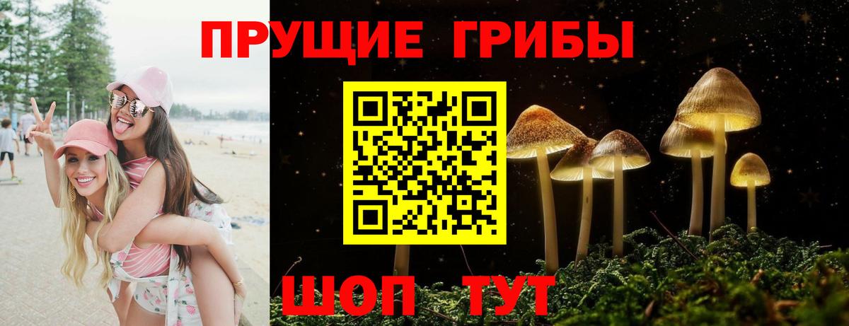 Коммунар  Галлюциногенные грибы MAGIC MUSHROOMS  Галлюциногенные грибы Magic Shrooms  Вход с VPN 
